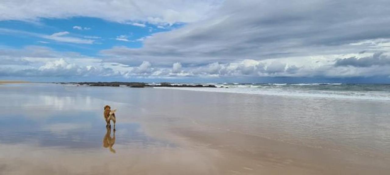 Diamond Beach Resort, Mid North Coast Nsw מראה חיצוני תמונה