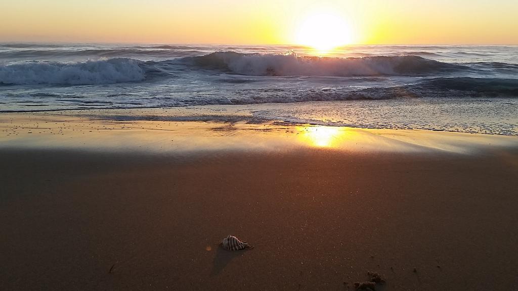 Diamond Beach Resort, Mid North Coast Nsw מראה חיצוני תמונה